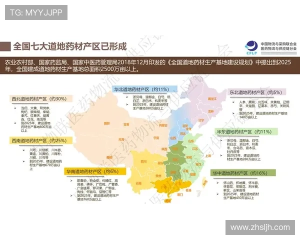 以内托为核心，探讨现代物流行业中的创新与发展趋势